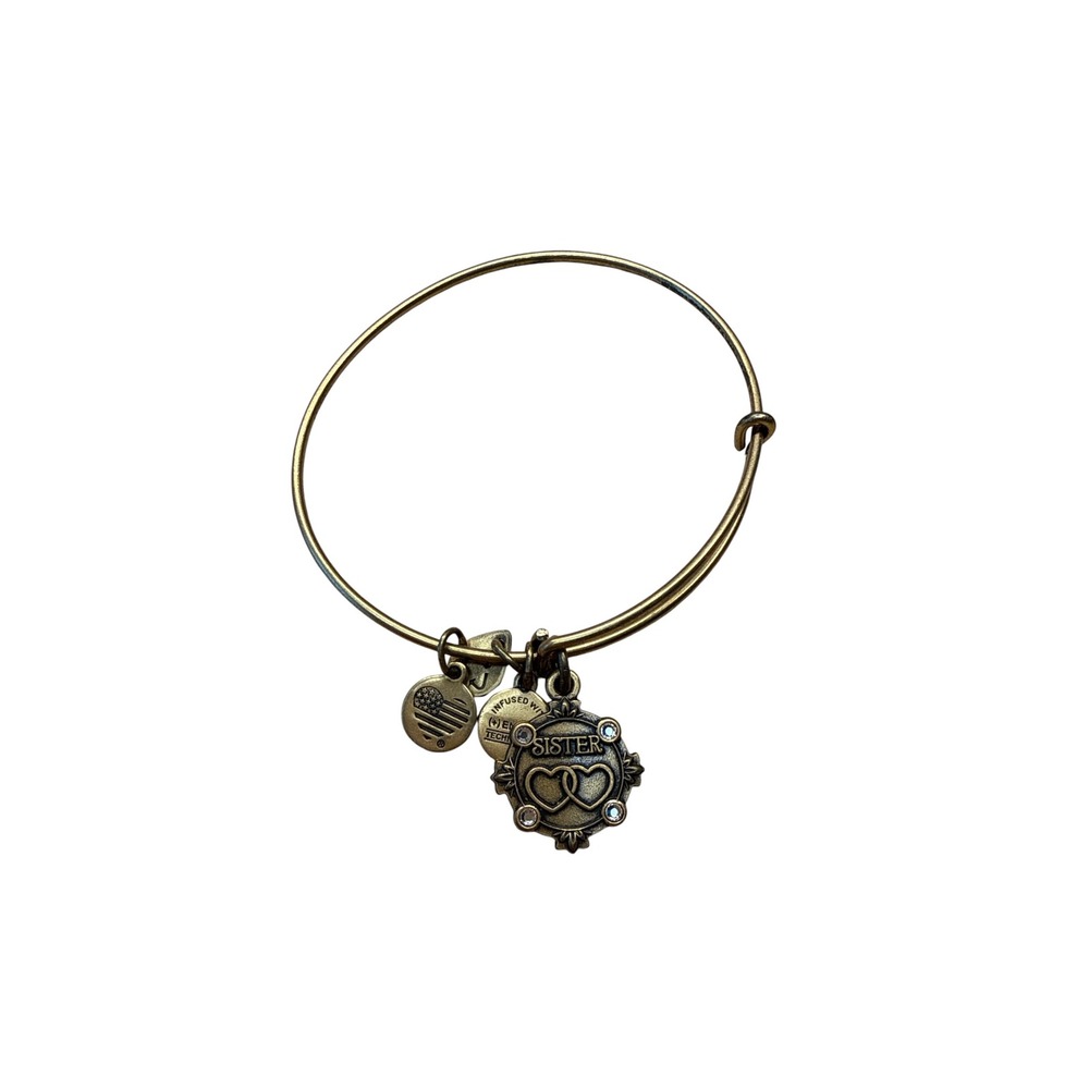 Alex and Ani Sister Charm Bangle Bracelet Rafaelian Gold Finish Double Heart